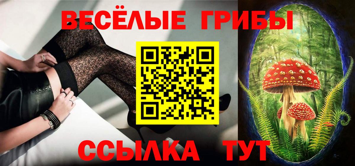 сколько стоит  Галлюциногенные грибы Cubensis  Вход с VPN  Саранск 